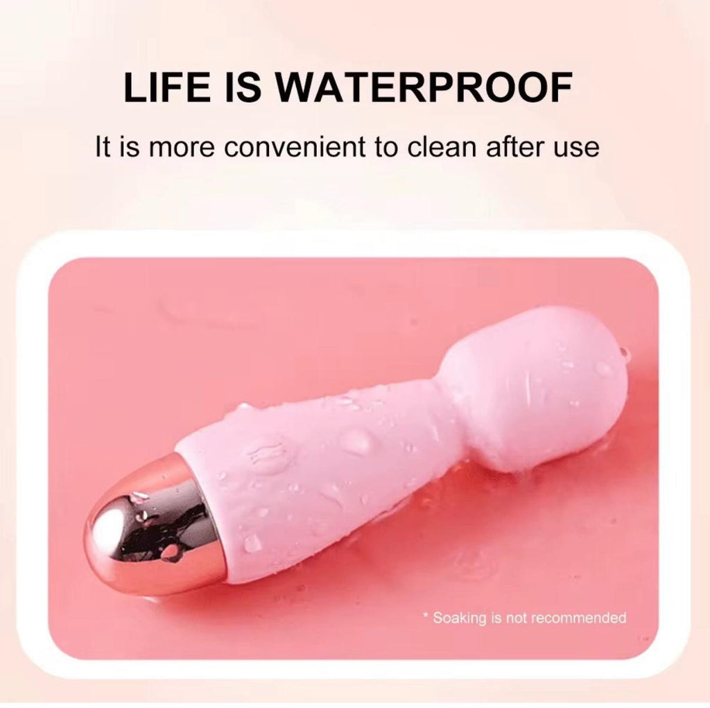 Vibrador Fancy